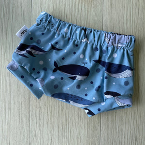 Ocean Creatures Shorties